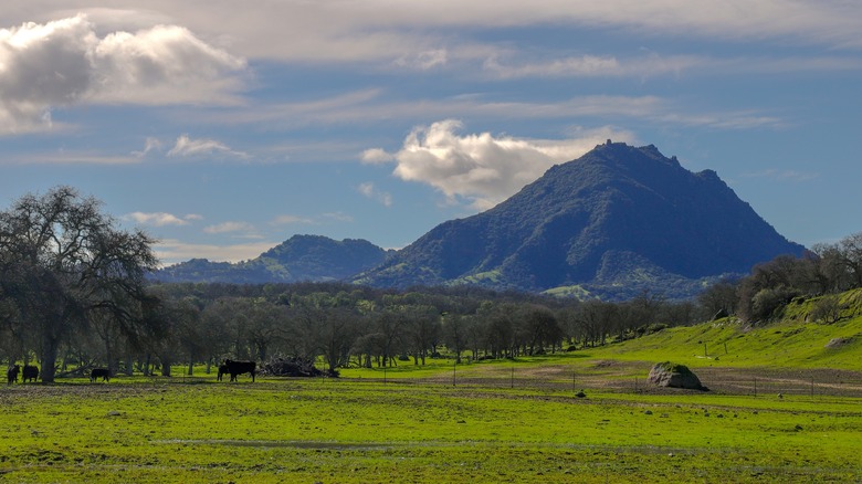 Sutter Buttes