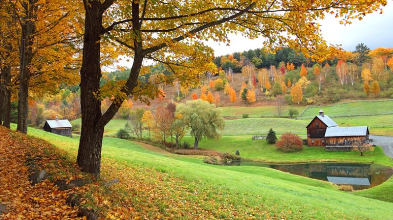 Fall in Vermont