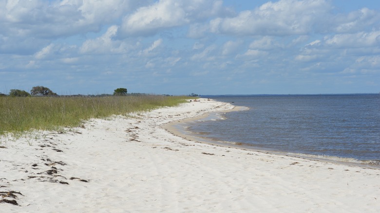 Beach at Alligator Point in Florida