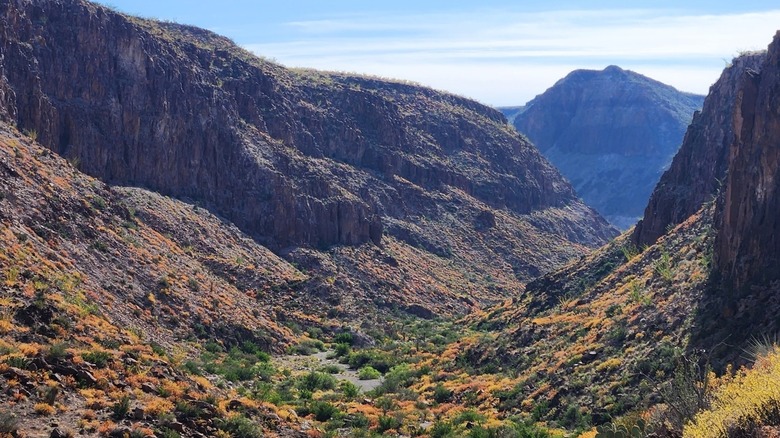 desert valley surrounded by mountains