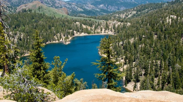 Ebbetts pass lake trees