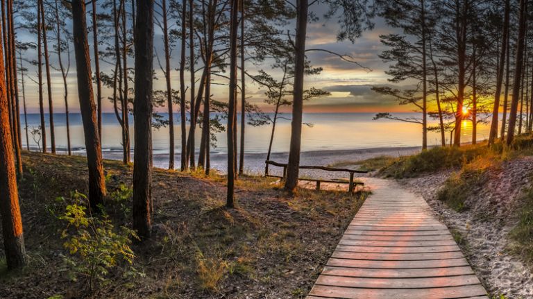 Footpath leading to Jūrmala beach