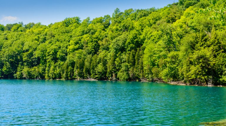 green lake and old growth forest