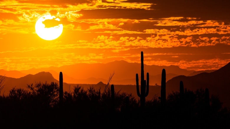 Oro Valley sunset