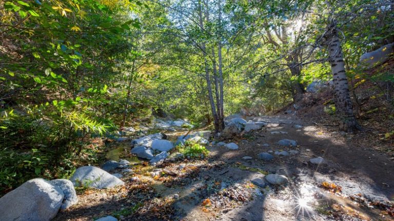 Gabrielino Trail to Switzer Falls, California