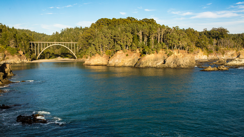 Bridge at Russian Gulch State Park