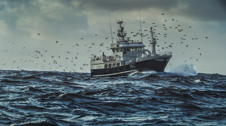 Ship sailing in the North Sea