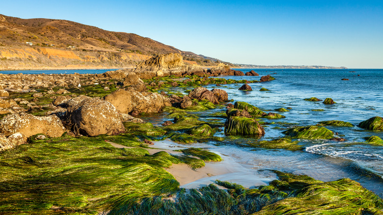 Leo Carrillo State Park