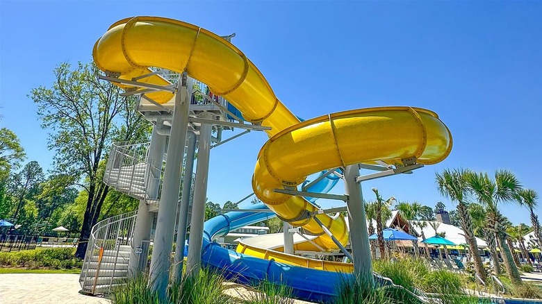 Giant water slides by palm trees