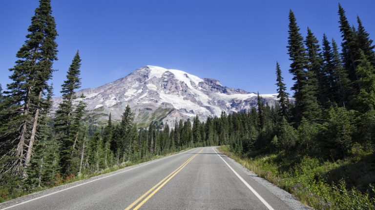 Tree-lined highway with mountain in distance