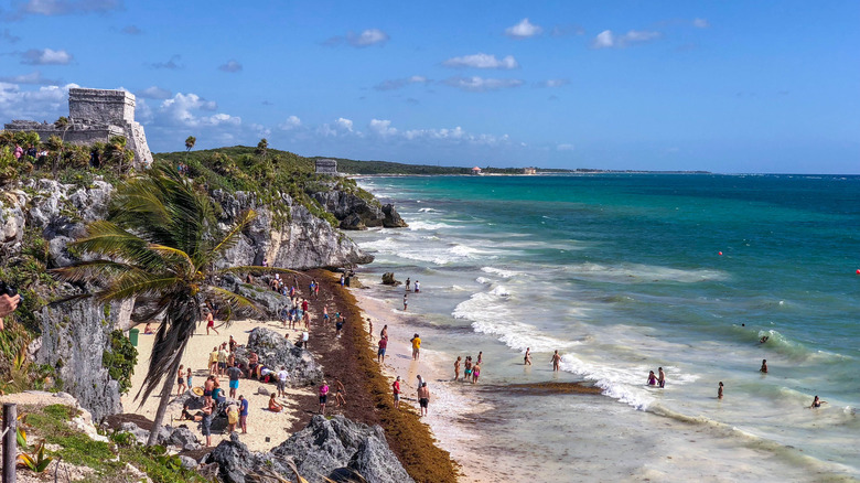 Tulum Beach covered with Sargassum