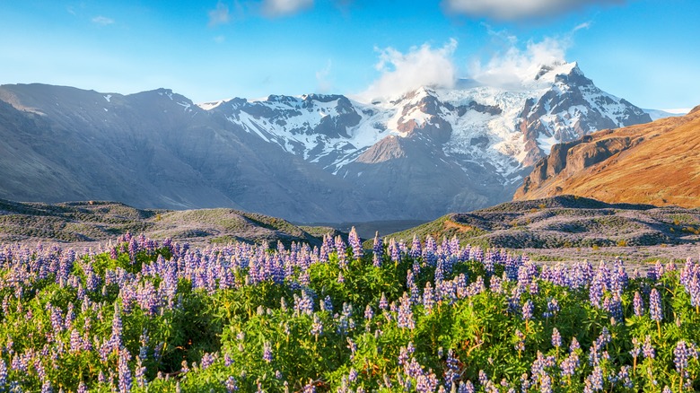 Iceland in the summertime