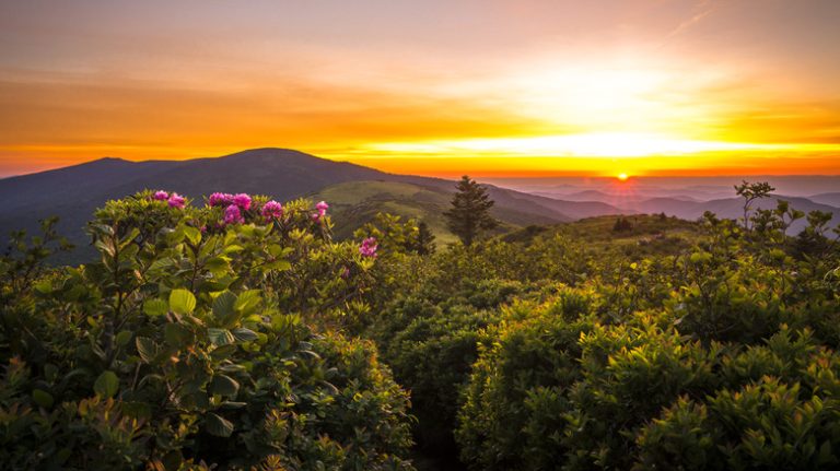 sunrise over the mountains