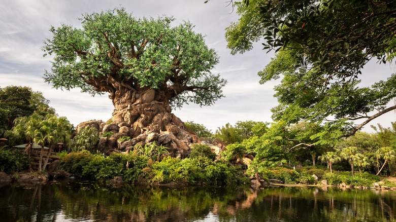 Tree of Life at Animal Kingdom