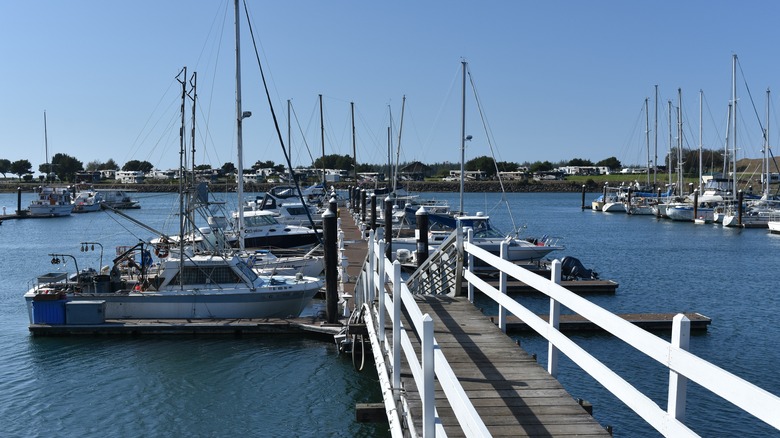 Boats docked in Winchester Bay, Oregon