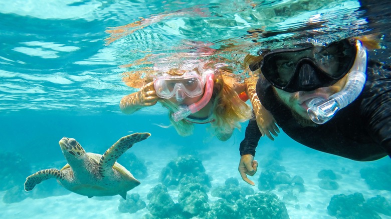 Two people snorkel with turtle