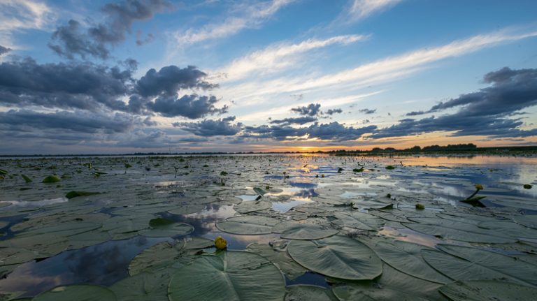 Sunset Danube Delta Romania