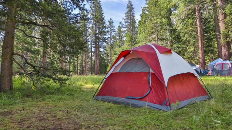 campsite with tents