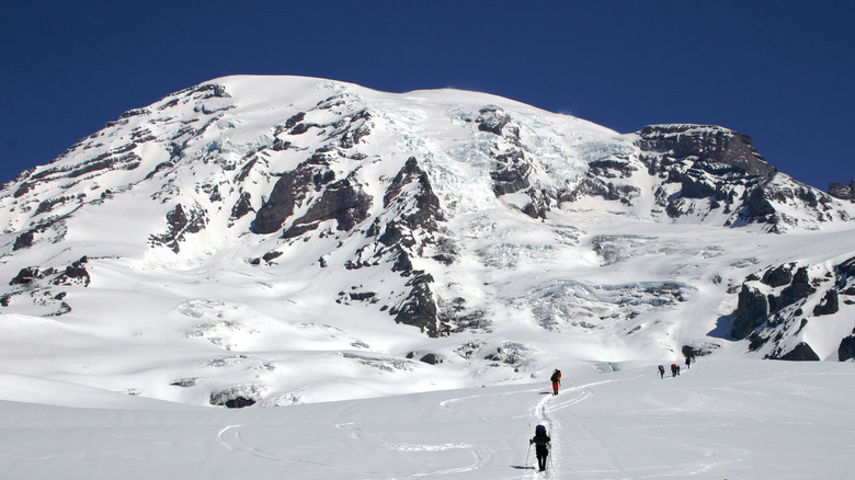 snowy trek on Mount Rainier