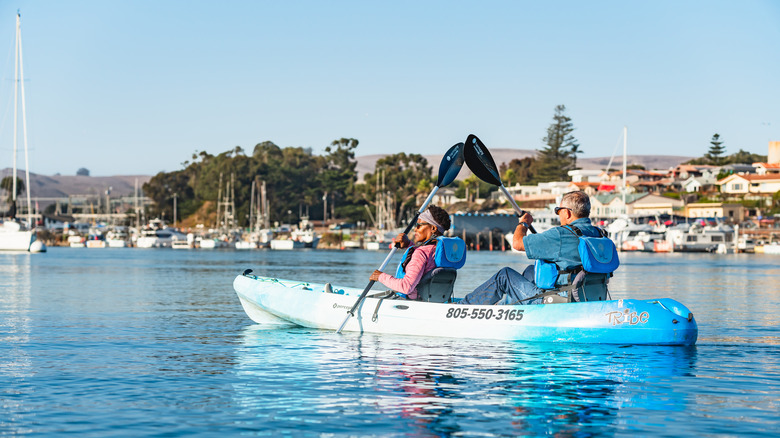 People kayaking in Morro Bay