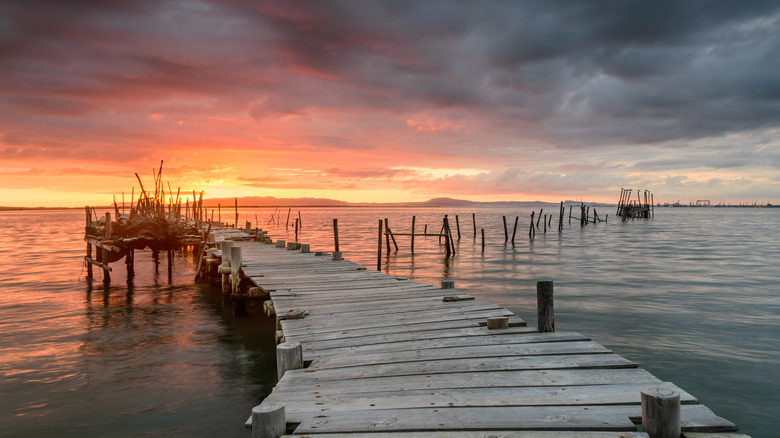 Comporta fishing dock