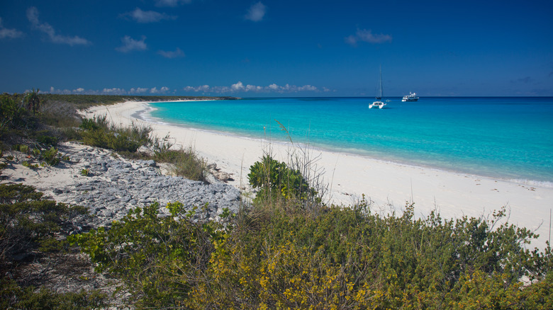 Aerial view of Conception Island beach