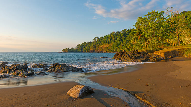 rocky beach and jungle