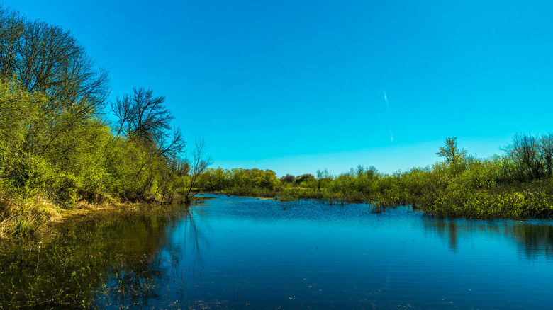 Sauvie Island, Oregon