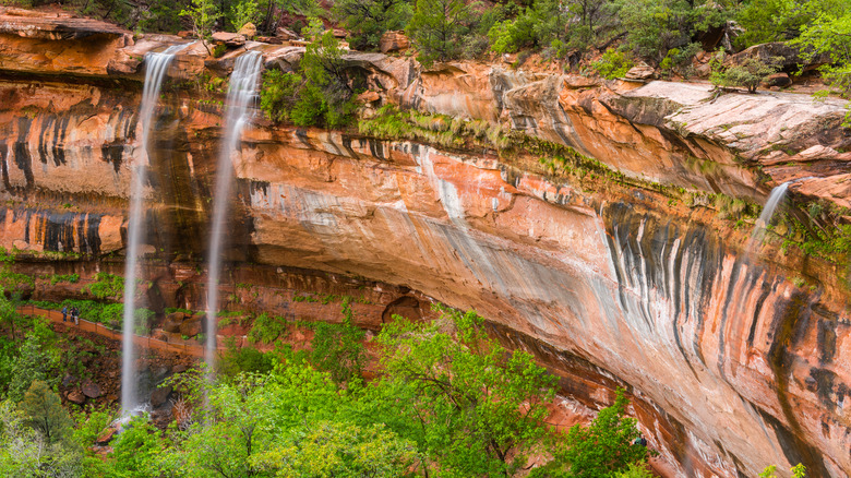 waterfall in zion national park