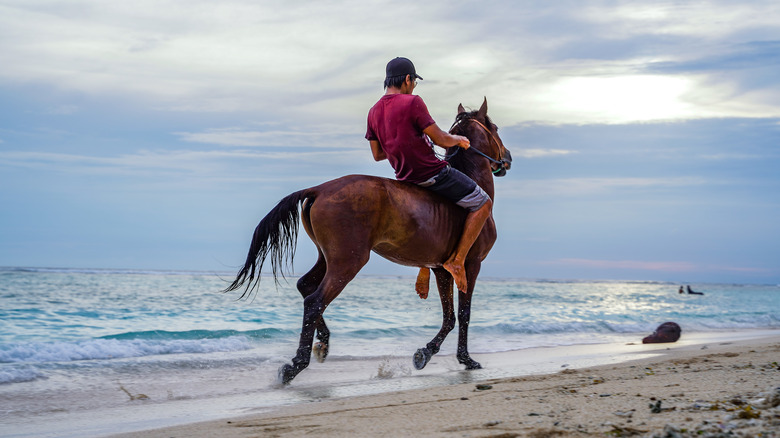 man riding horse on beach