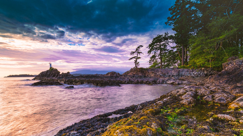 Shoreline of Bowen Island