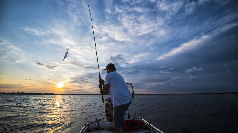 person fishing off boat