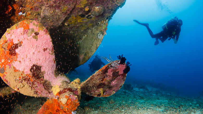 Wreck diving in Roatán, Honduras