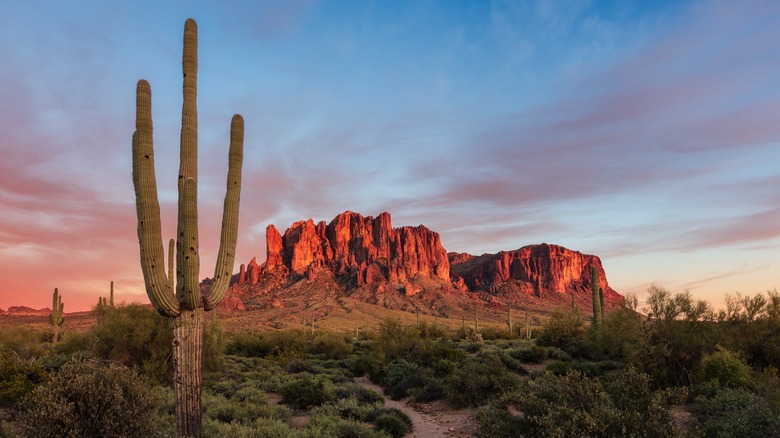 The Superstition Mountains