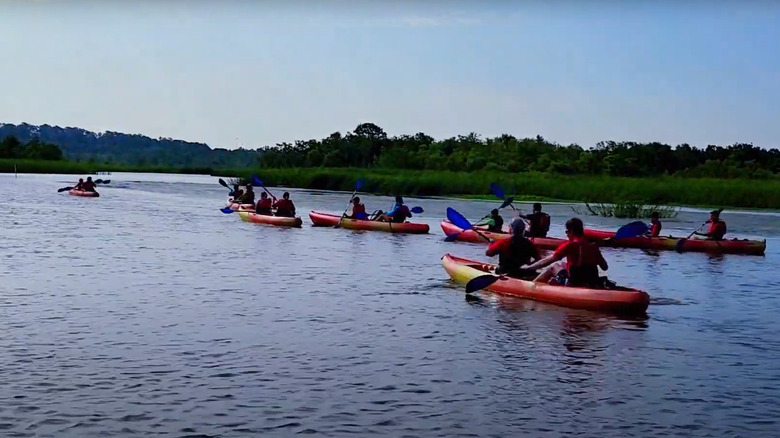 Group kayaking at Meaher State Park