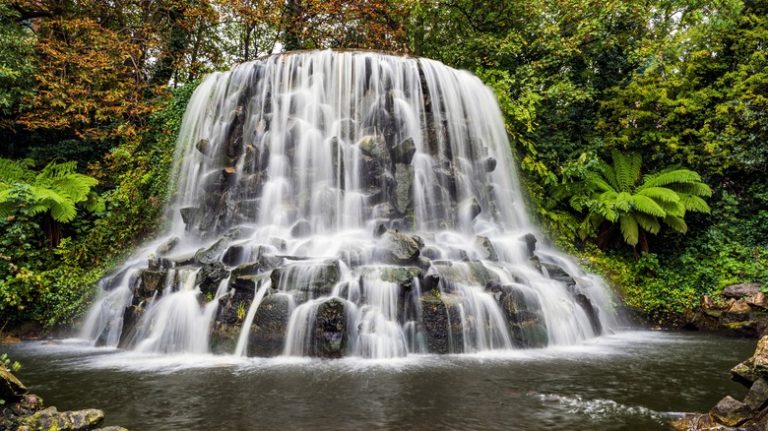 Iveagh Gardens, Dublin