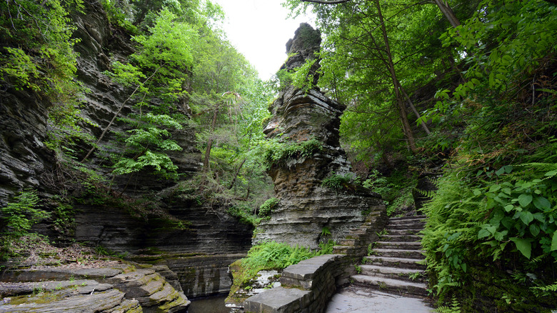 Waterfalls along a hiking trail