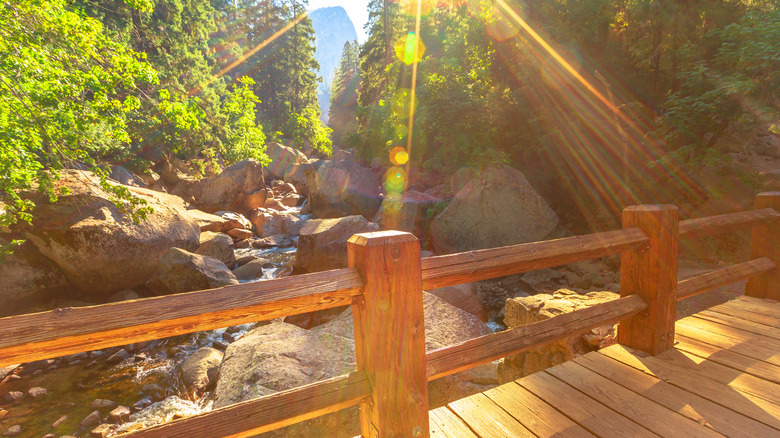 View from Vernall Fall Footbridge