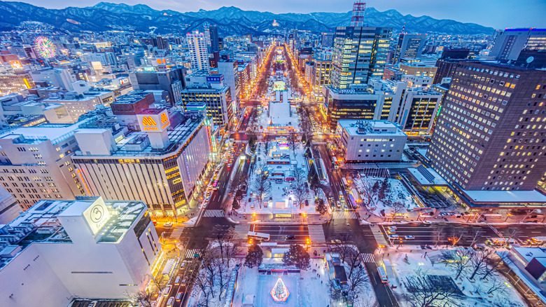 Sapporo TV Tower park view