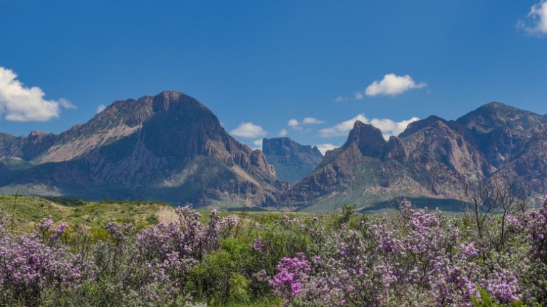 Big Bend National Park