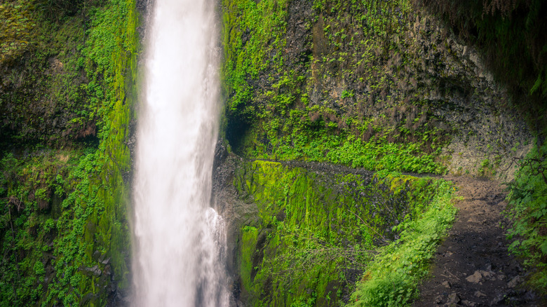 passage behind tunnel falls