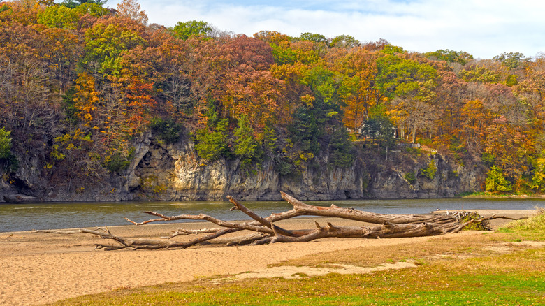 Palisades-Kepler State Park in Iowa