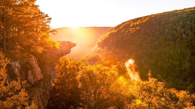 St. Francis Ozark Forest fall