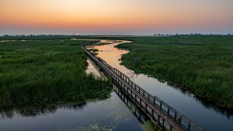 Marsh boardwalk at Point Pelee National Park, Canada