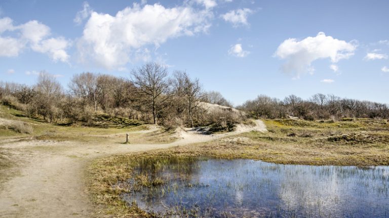 Hiking trail in Rockanje, Netherlands