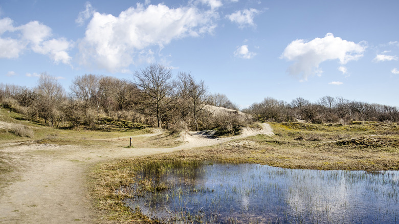 Hiking trail in Rockanje, Netherlands