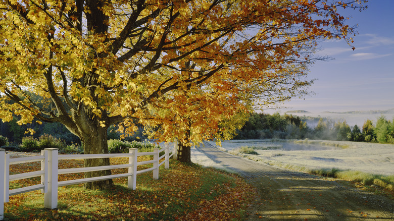 Vermont road trip route