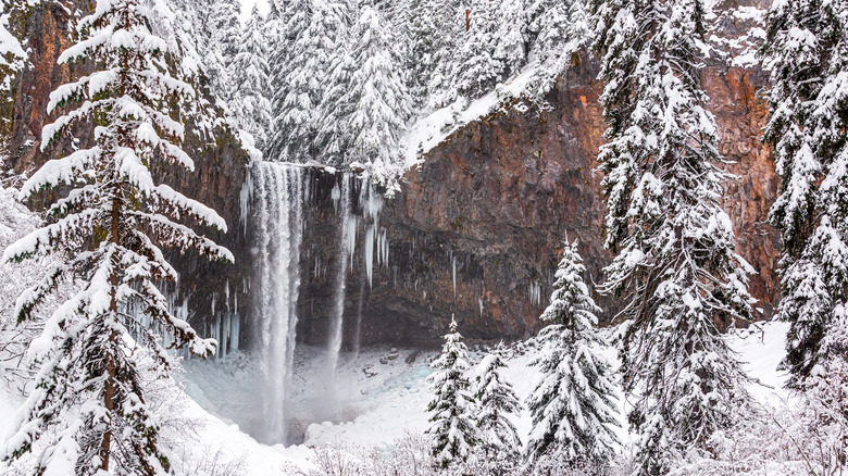 Winter at Tamanawas Falls