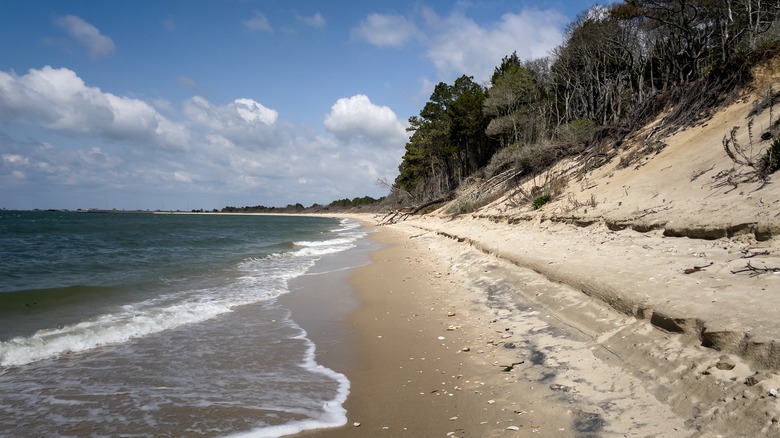 Kiptopeke State Park