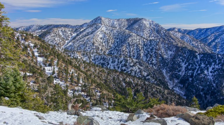 Snowy forested mountain